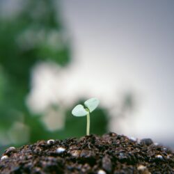 Miglioramento continuo